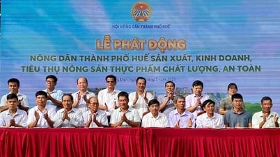 Sustainable development of local agricultural products