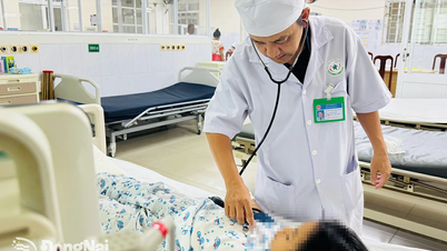 Ngày ASEAN phòng chống sốt xuất huyết (15-6): Chung tay đẩy lùi bệnh sốt xuất huyết