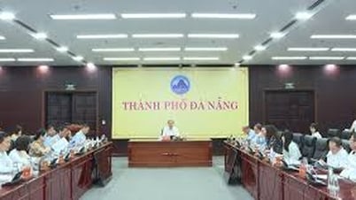 តាមរយៈខ្លឹមសារជាច្រើននៅក្នុងកិច្ចប្រជុំរបស់គណៈកម្មាធិការប្រជាជនទីក្រុង