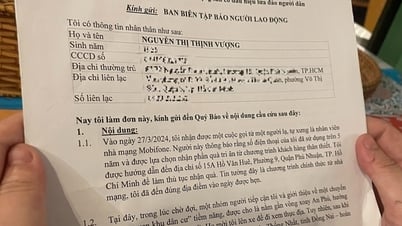 Bài học từ lá đơn cầu cứu của người phụ nữ 70 tuổi 