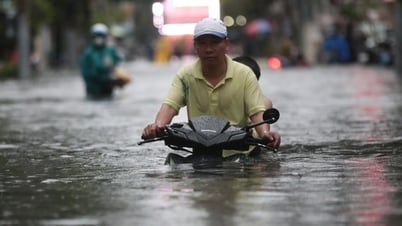 TPHCM nghiên cứu ứng dụng AI, VR trong ứng phó ngập lụt