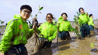 Nâng cao hiệu quả truyền thông trong ứng phó biến đổi khí hậu
