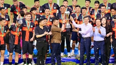ដំណើរត្រលប់ទៅ V-League នៃបាល់ទាត់ Hoa Lu Ancient Capital