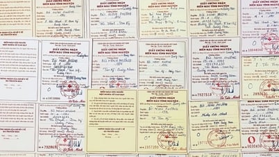 20대, 20회 인도적 헌혈로