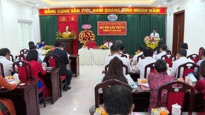 XI Провинциальный съезд партии, 2025-2030 гг.