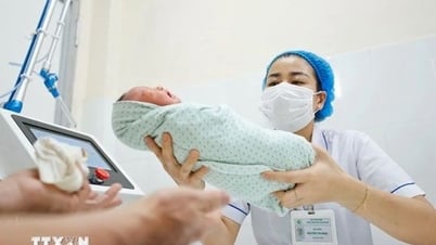 Förderung der Geburtenrate: Umfassende und langfristige Politik erforderlich