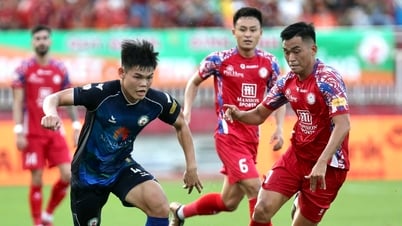 Bị đội TP.HCM đánh bại, CLB Bình Định rơi thẳng xuống đáy bảng: 99% rớt hạng!