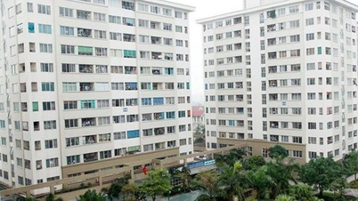 An cư không còn là ước mơ xa với người thu nhập thấp