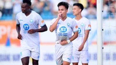 យកឈ្នះ Quang Nam, Nam Dinh បានឈ្នះជើងឯក V-League 2024-25