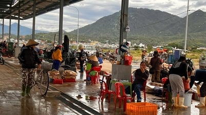 Cam Ranh: Chấm dứt hoạt động của Bến cá Lăng Ông