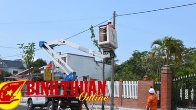 Bảo đảm cung ứng điện trên địa bàn tỉnh