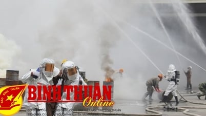 Répondre aux incidents liés aux déchets selon les quatre principes sur place et les trois principes de préparation
