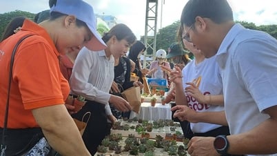 ការគ្រប់គ្រងសំរាមនៅតំបន់ជនបទ៖ នៅតែជាបញ្ហាពិបាក