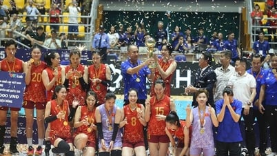 Vietnam women's volleyball team wins AVC Nations Cup for the third time
