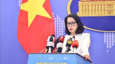 Việt Nam mong muốn nỗ lực đóng góp, nâng cao tiếng nói và vai trò của các nước đang phát triển