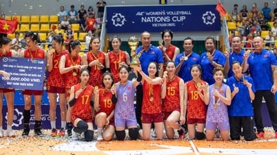 Thanh Thuy and Bich Tuyen help Vietnamese women's volleyball team win AVC Nations Cup