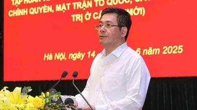 산업 및 무역 분야에서 지방으로의 권한 분산 및 위임을 촉진합니다.