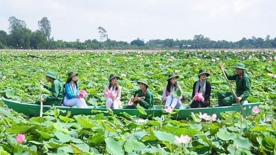 Détendez votre âme grâce aux saisons du lotus