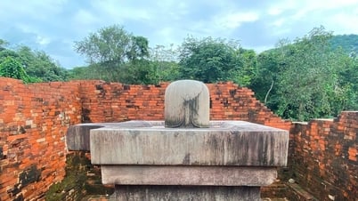 Quang Nam strengthens protection of national treasures