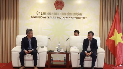 សាជីវកម្ម Advanced Micro Devices Corporation (USA) ស្វែងរកឱកាសវិនិយោគនៅ Binh Duong