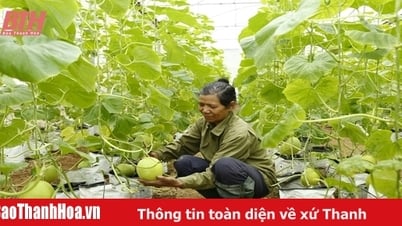 Xây dựng các mô hình sản xuất theo hướng ứng dụng khoa học - công nghệ