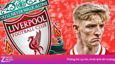 Liverpool tính gây sốc với thương vụ 100 triệu bảng