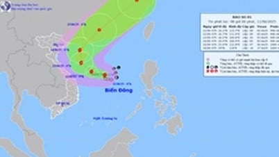 Focus on responding to storm No. 1, ensuring safety of construction works
