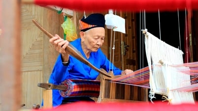 Artisans contribute to making brocade weaving of Thai people in Nghe An a national heritage