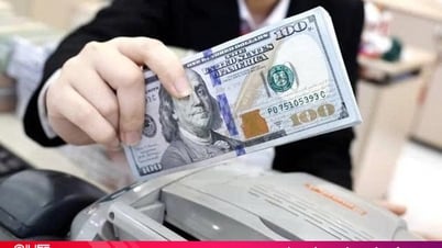 Tỷ giá USD hôm nay 15/6/2025: Tiếp tục ghi nhận đà tăng