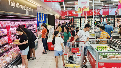 Triển khai Tháng Khuyến mãi tập trung quốc gia năm 2025