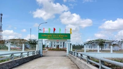 Hợp nhất Cà Mau, Bạc Liêu: Ban Chấp hành Đảng bộ tỉnh mới có 61 ủy viên