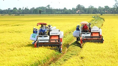 កសិកម្ម និងបរិស្ថាន៖ វិមជ្ឈការ និងការធ្វើប្រតិភូកម្ម ដើម្បីបង្កើនសក្តានុពល
