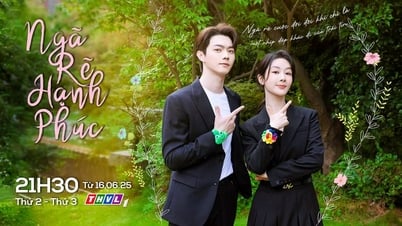 PHIM TRUNG QUỐC: Ngã rẽ hạnh phúc
