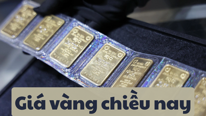 Giá vàng chiều nay 15/6/2025: Giá vàng trong nước và thế giới tăng hơn 3 triệu tuần qua