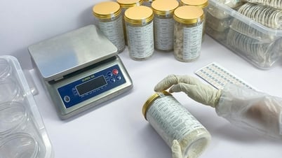 Công ty TNHH Hải Yến Nha Trang mở đường xuất khẩu yến sào chính ngạch sang Hàn Quốc