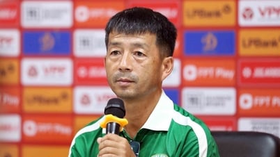 HLV CLB Quy Nhơn Bình Định: 'Chúng tôi rất thất vọng'