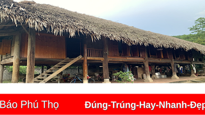 Bảo tồn nhà sàn người Mường