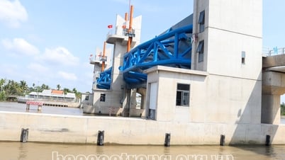 Cống âu Rạch Mọp thúc đẩy nông nghiệp Sóc Trăng phát triển bền vững