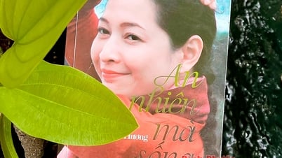 Hành trình đi tìm hạnh phúc 