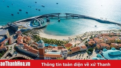 مجموعة صن تؤسس شركة طيران منتجعية Sun PhuQuoc Airways