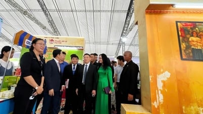 Chuyển đổi số chợ truyền thống: Bước ngoặt trong kết nối tiểu thương số