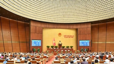 Überschneidungen überwinden, nationale Standards anheben