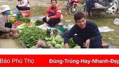Giá cả thị trường ngày 15/6/2025