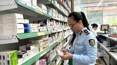 Continue to promote the fight against smuggling and counterfeit goods