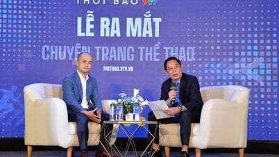 VTV Times, VTV Sports 페이지 개설