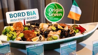 Bord Bia បង្ហាញគ្រឿងសមុទ្រអៀរឡង់តាមរយៈព្រឹត្តិការណ៍ “Irish Seafood Showcase”