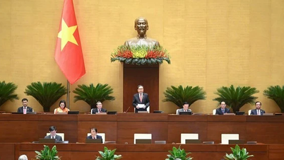 Quốc hội chính thức thông qua Nghị quyết sửa đổi Hiến pháp - dấu ấn lịch sử
