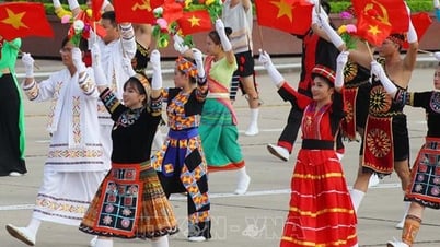 Thành lập Ban Soạn thảo, Tổ Biên tập xây dựng Kế hoạch của Bộ VHTTDL thực hiện Kết luận của Bộ Chính trị về xây dựng và phát triển văn hóa, con người Việt Nam