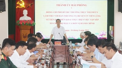 The Standing Deputy Secretary of the City Party Committee worked with An Lao and Tien Lang districts on the progress of implementing the arrangement of administrative apparatus and units.