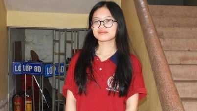 សិស្សសាលាស្រុកបីបង្កើតការភ្ញាក់ផ្អើលក្នុងការប្រឡងចូលថ្នាក់ទី១០ នៅខេត្ត Nghe An